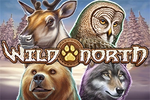 Game image: Wild North by Play'n GO
