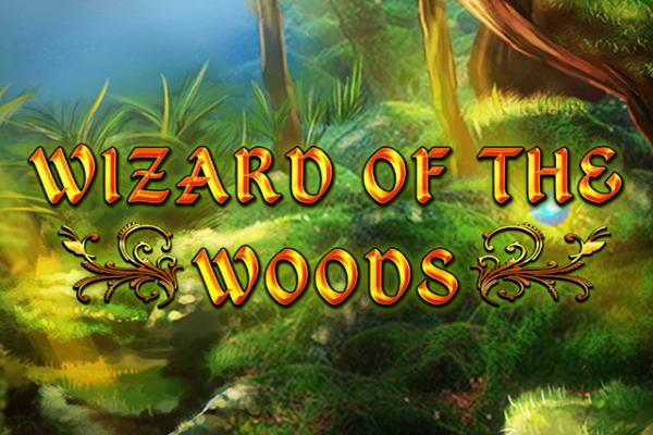 Game image: Wizard of the Woods by 2 By 2 Gaming