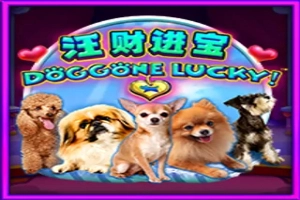 Game image: Doggone Lucky! by Aspect Gaming