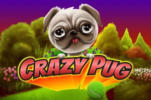 Thumbnail: Crazy Pug by Swintt