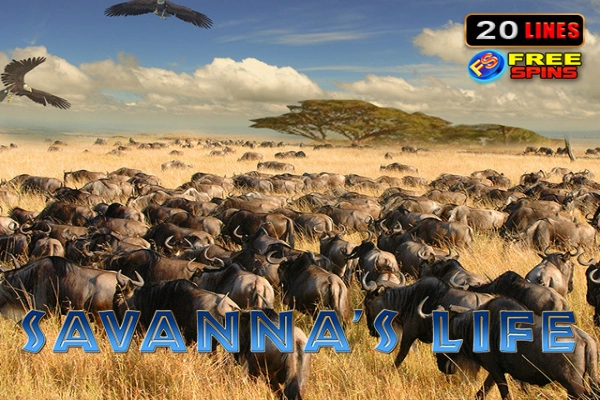 Game image: Savannas Life by Amusnet