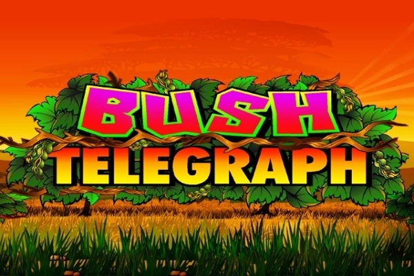 Game image: Bush Telegraph by Games Global