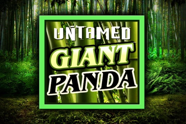 Game image: Untamed Giant Panda by Games Global