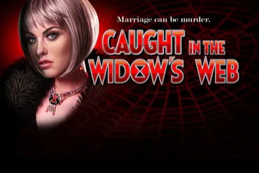 Game image: Caught In The Widow's Web by High 5 Games