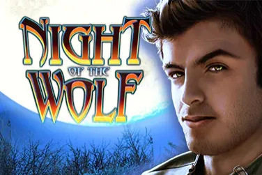 Game image: Night Of The Wolf by High 5 Games