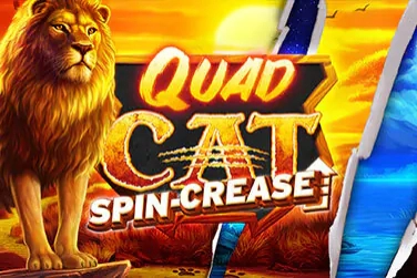 Game image: Quad Cat by High 5 Games