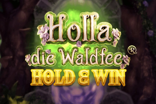 Game image: Holla die Waldfee Hold & Win by Holle Games