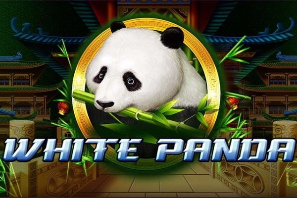 Game image: Full Moon: White Panda by Playtech