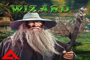 Game image: Wizard by AGT Software