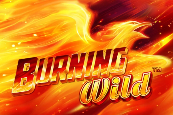 Game image: Burning Wild by Greentube
