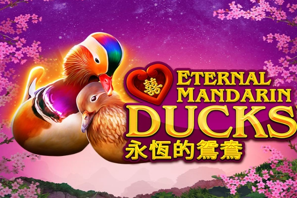 Game image: Power Prizes - Eternal Mandarin Ducks by Greentube