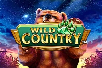 Game image: Wild Country by Greentube