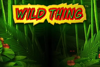 Game image: Wild Thing by Greentube