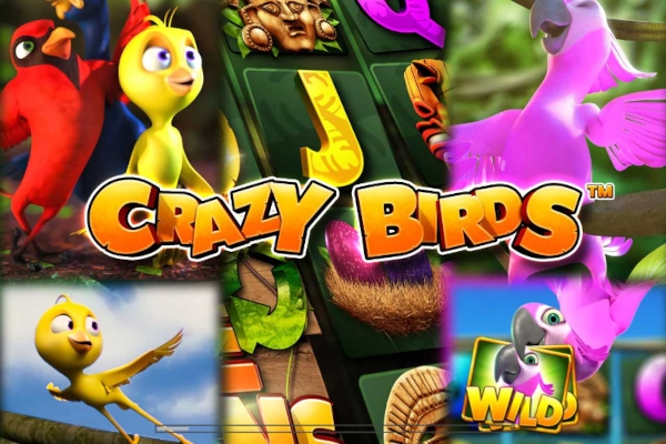 Game image: Crazy Birds by Greentube