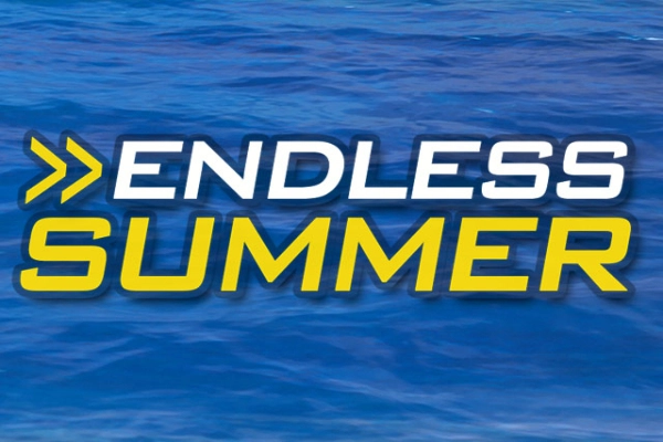 Game image: Endless Summer by Merkur