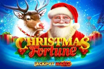 Game image: Christmas Fortune by RubyPlay