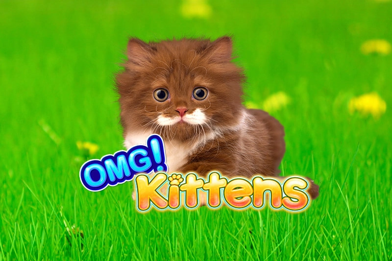 Thumbnail: OMG Kittens by Light & Wonder