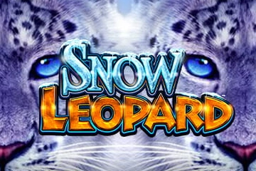 Thumbnail: Snow Leopard by Light & Wonder