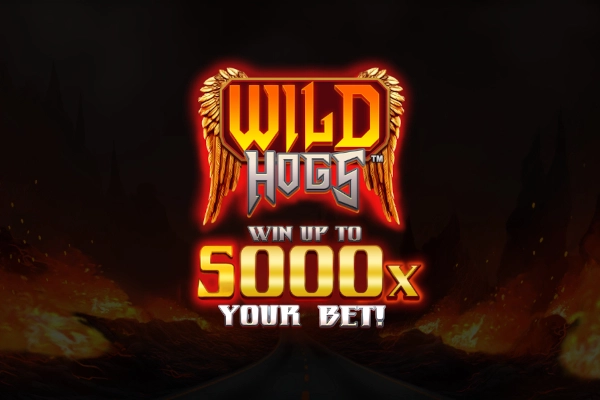 Thumbnail: Wild Hogs by Stakelogic