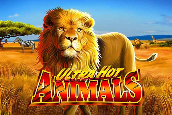 Thumbnail: Ultra Hot Animals by Hissho Dragon