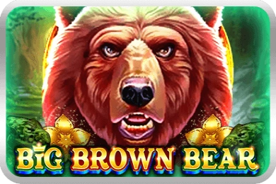 Thumbnail: Big Brown Bear by UU Slots