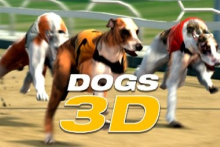 Thumbnail: Dogs 3D by InBet Games