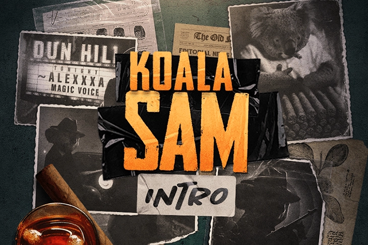 Thumbnail: Koala Sam Intro by Chilli Games