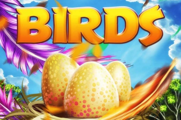 Thumbnail: Birds Nest by MultiSlot