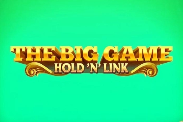 Thumbnail: The Big Game Hold 'n' Link by NetGame