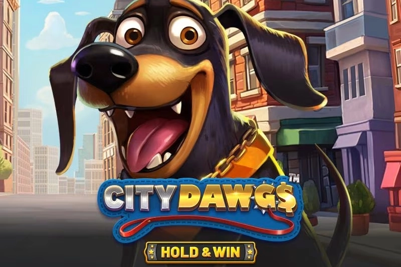 Game image: City Dawgs - Hold & Win by Betsoft