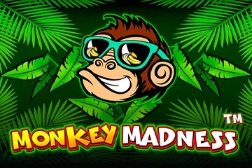 Game image: Monkey Madness by Pragmatic Play