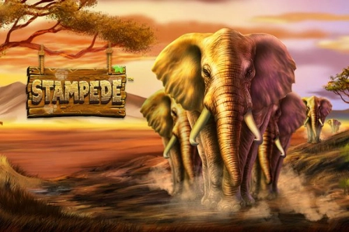Game image: Stampede by Betsoft