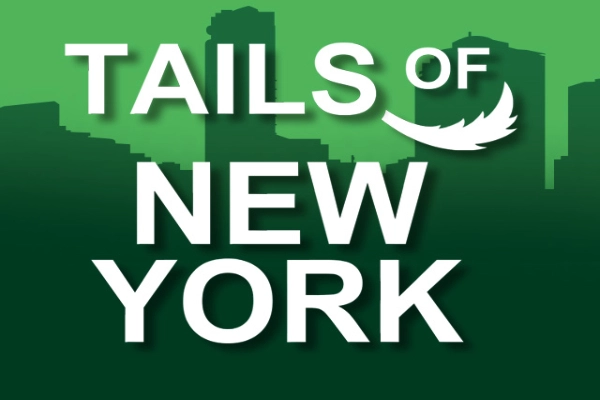 Game image: Tails Of New York by Genii