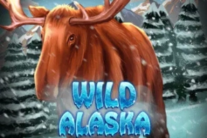 Game image: Wild Alaska by KA Gaming