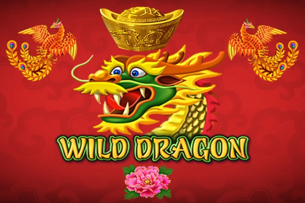 Game image: Wild Dragon by Amatic
