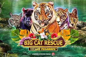 Thumbnail: Big Cat Rescue Megaways by Red Tiger Gaming