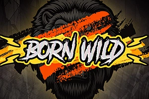 Game image: Born Wild by Hacksaw Gaming
