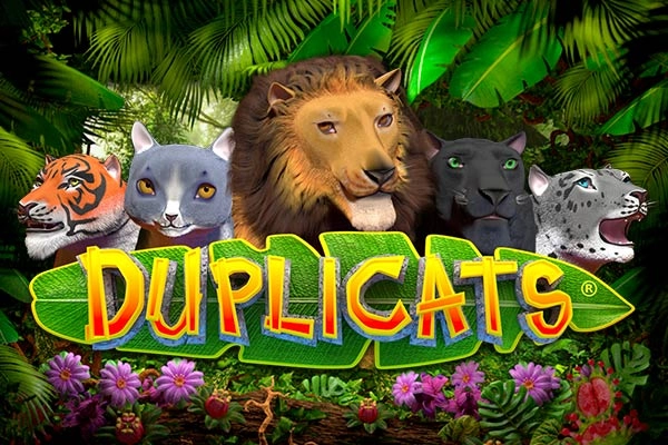 Game image: Duplicats by Realistic Games