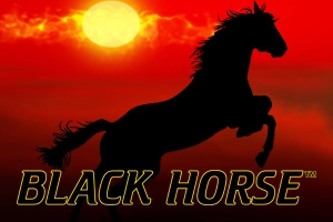 Game image: Black Horse by Wazdan