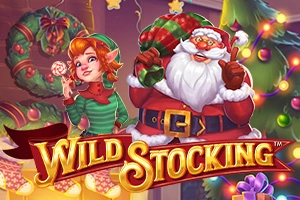 Game image: Wild Stocking by Stakelogic