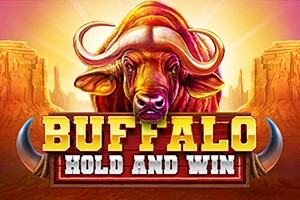 Game image: Buffalo Hold and Win by Booming Games